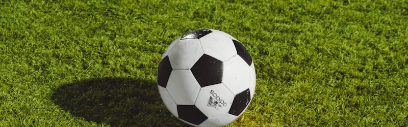 世界杯淘汰赛对阵树状分析图，展示球队可能的晋级路径